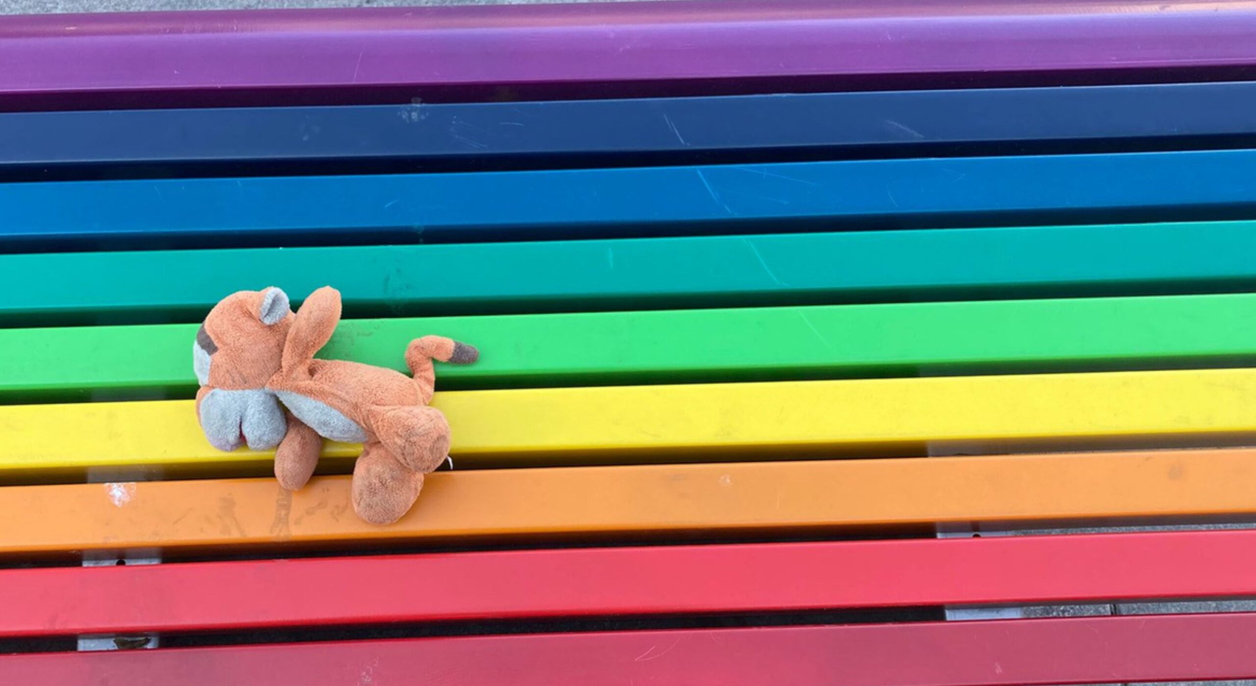 Queer ei mahdu sateenkaaren alle - Kiiltomato.net